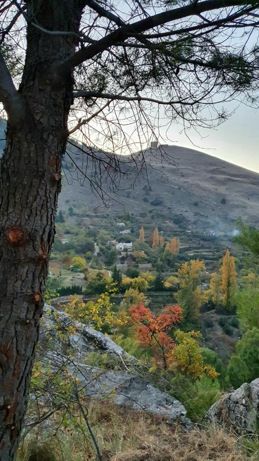 Alojamiento Rural Fuente De La Glorieta Cazorla Εξωτερικό φωτογραφία